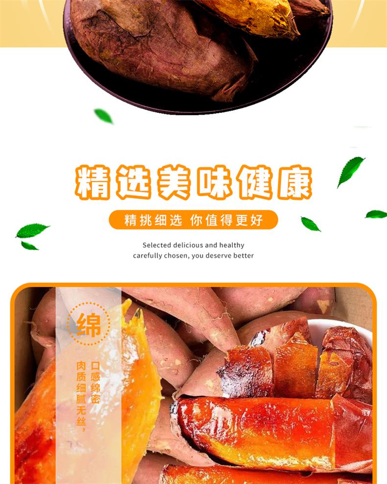 42烟薯25号_05.jpg