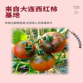 大连老味道草莓柿子20个礼盒装4斤