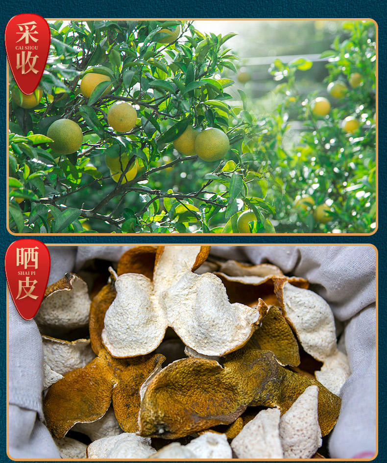 润虎790-陈皮28玻璃罐-1_11.jpg