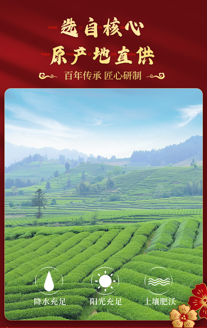 790-天尊龙品-三茶金骏眉组合-恢复的_04.jpg