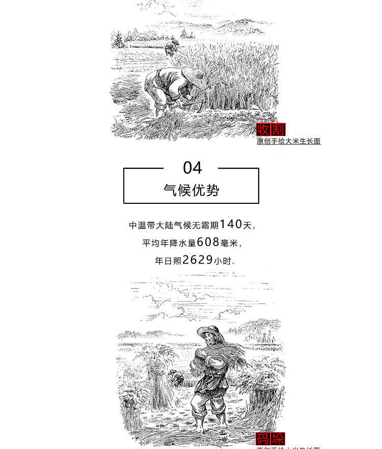 D1000_05.jpg