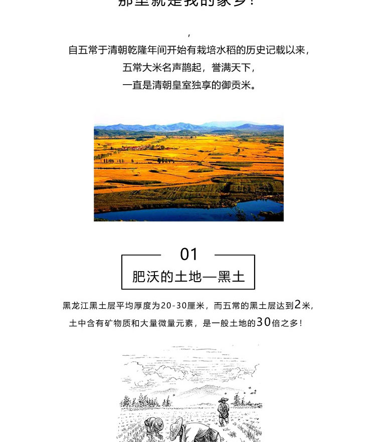 D1000_03.jpg