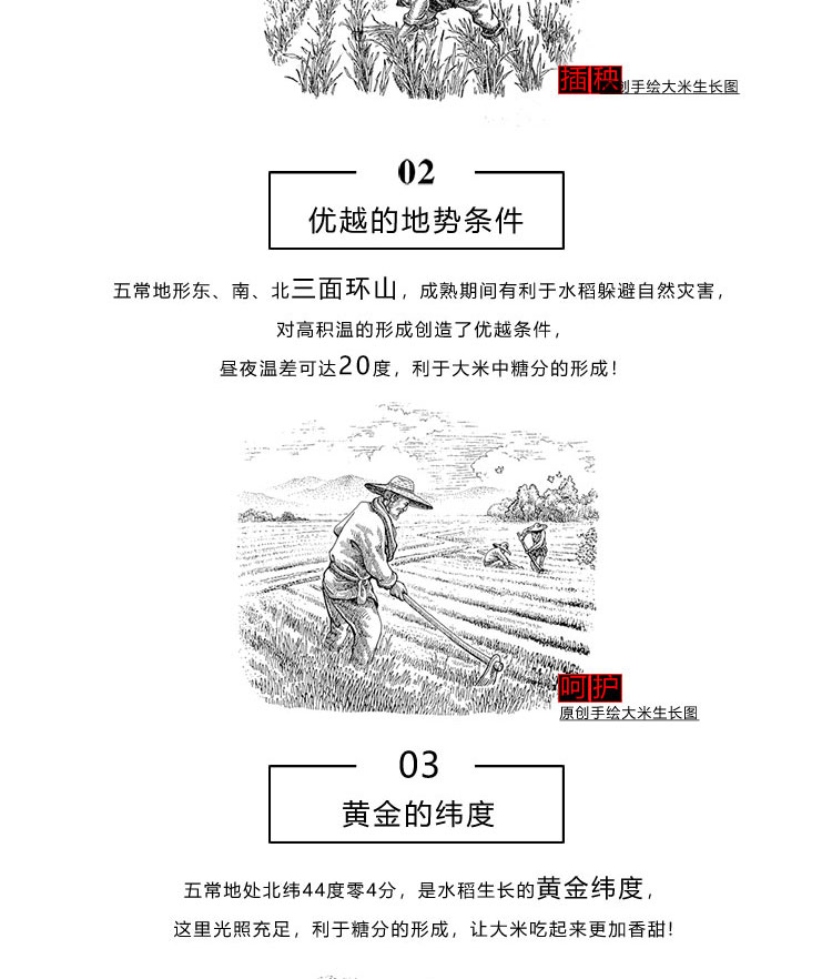 D1000_04.jpg