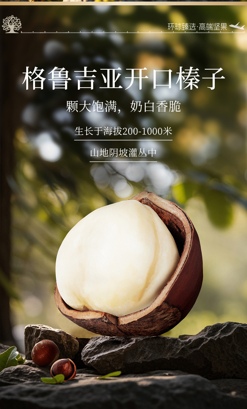 吉祥果_06.jpg