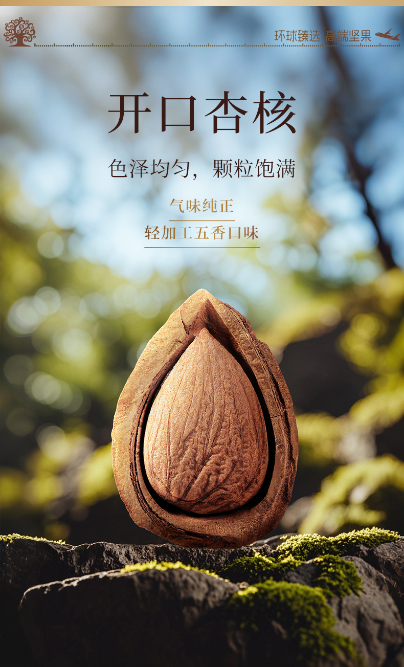 吉祥果_07.jpg