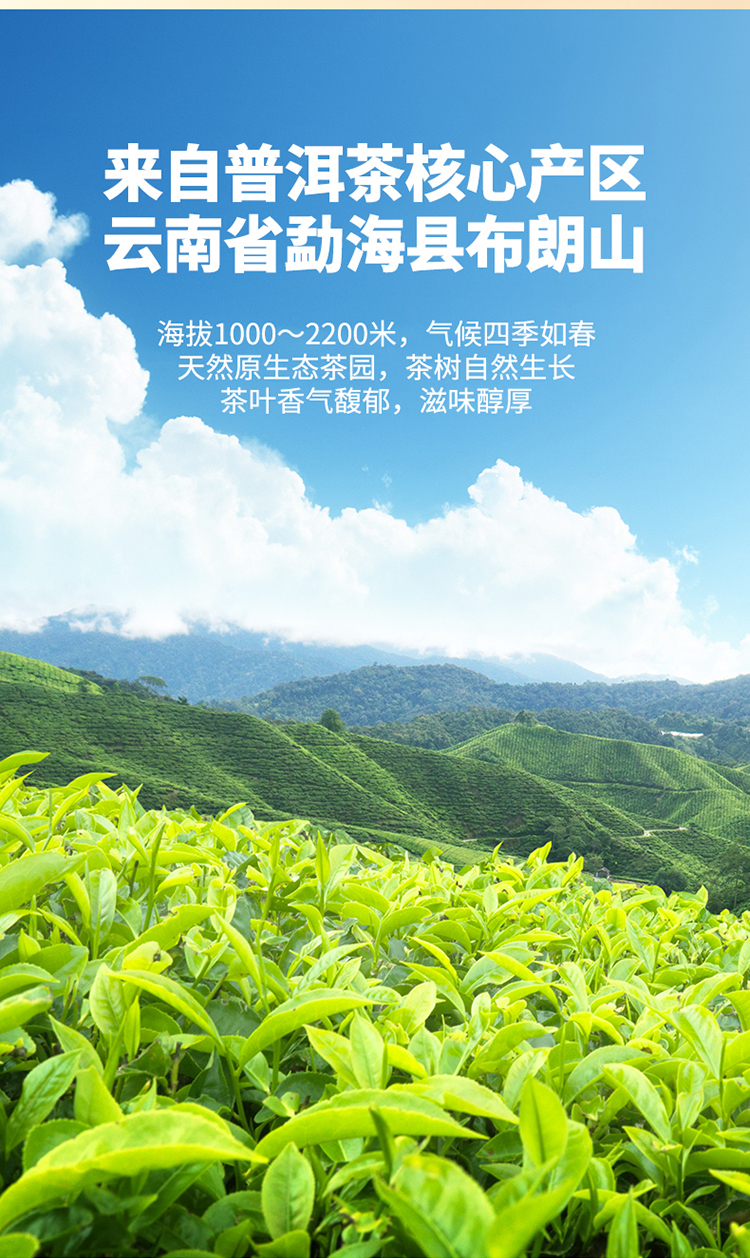 750详情页_03.jpg