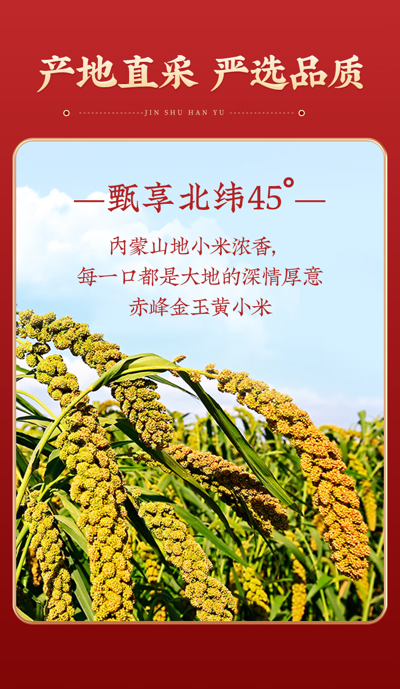 详情-05.jpg