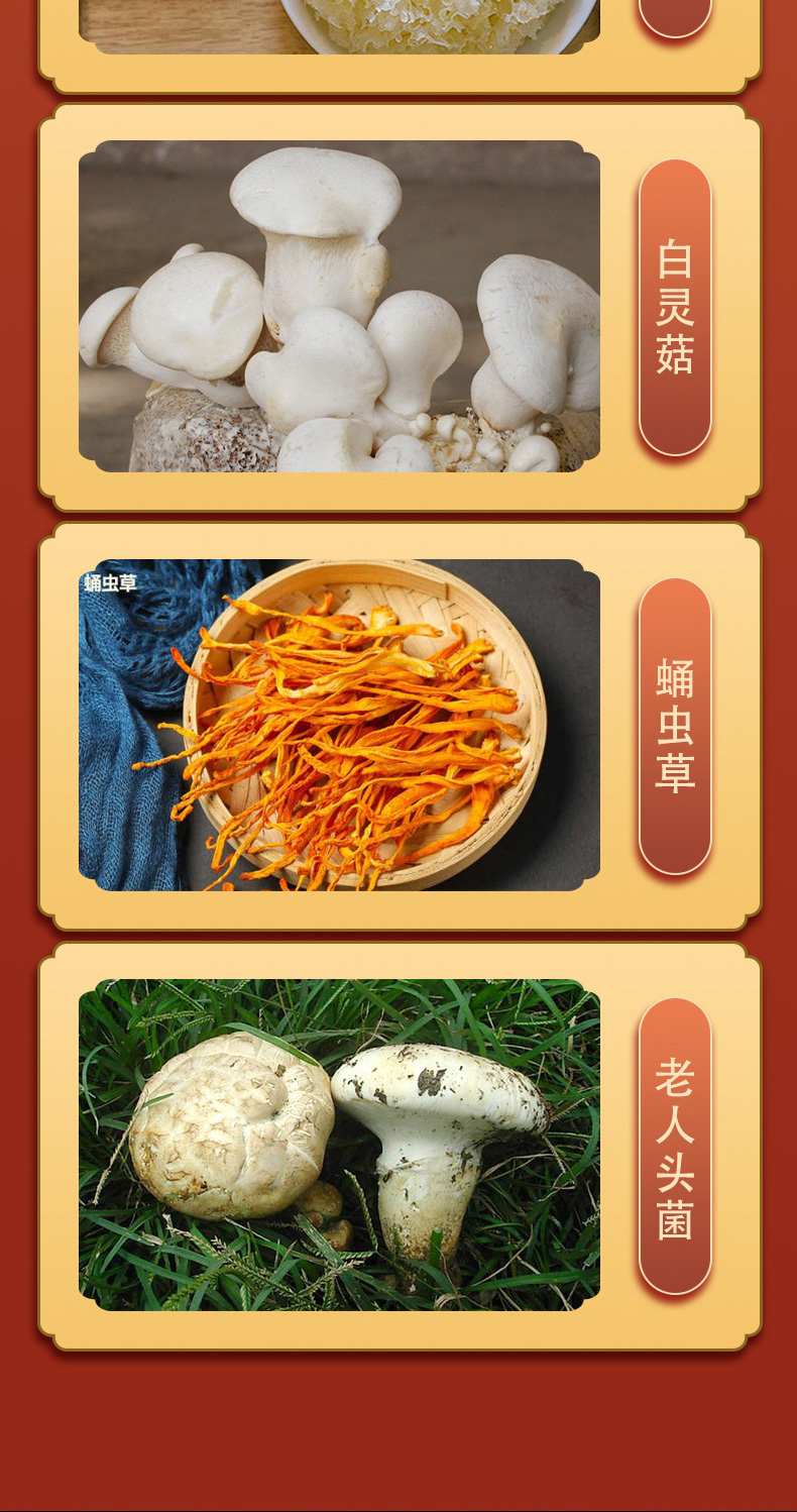 京食菌菇C_05.jpg