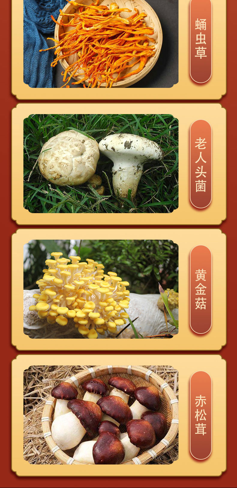 京食菌菇D_05.jpg
