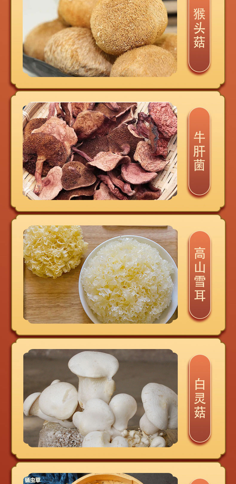 京食菌菇D_04.jpg
