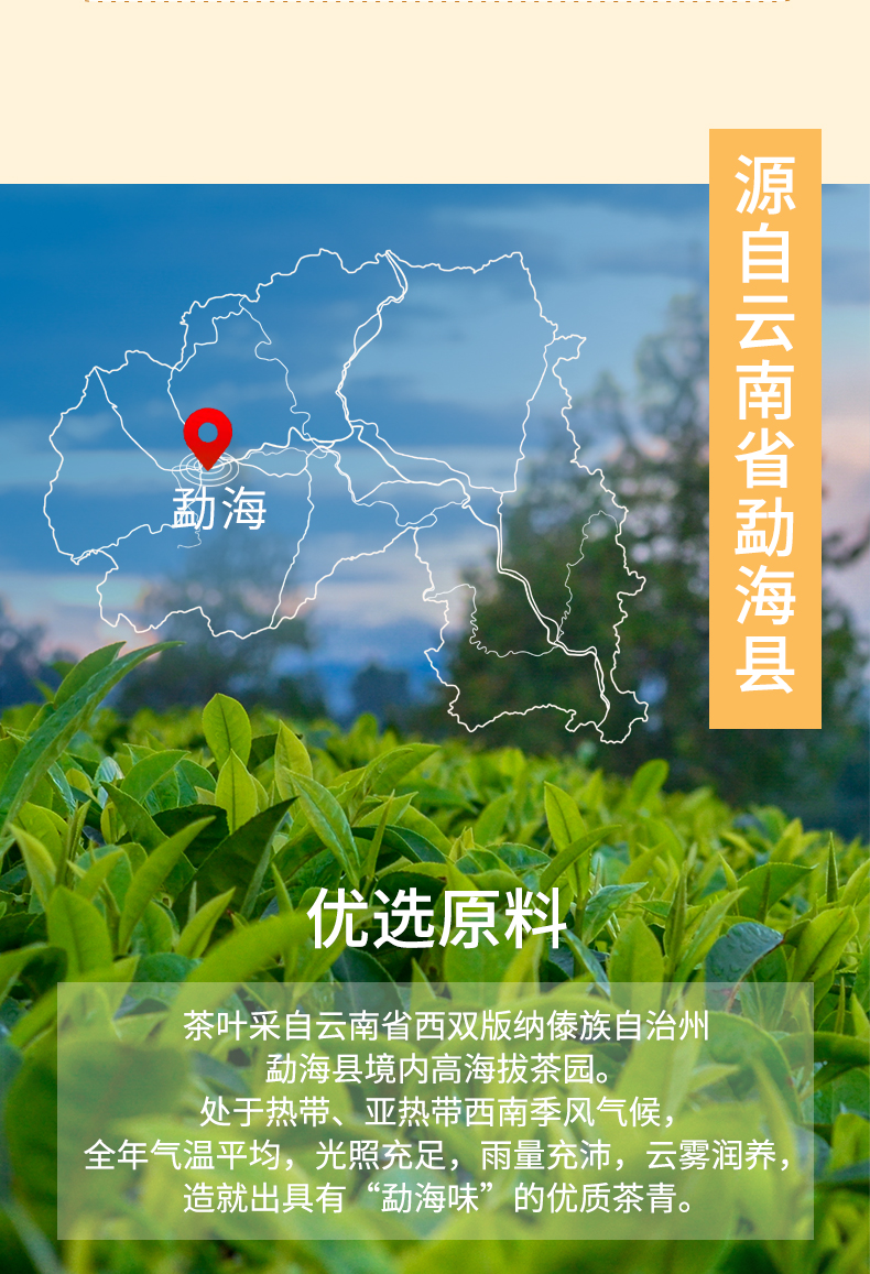 中茶福礼普洱茶3.jpg
