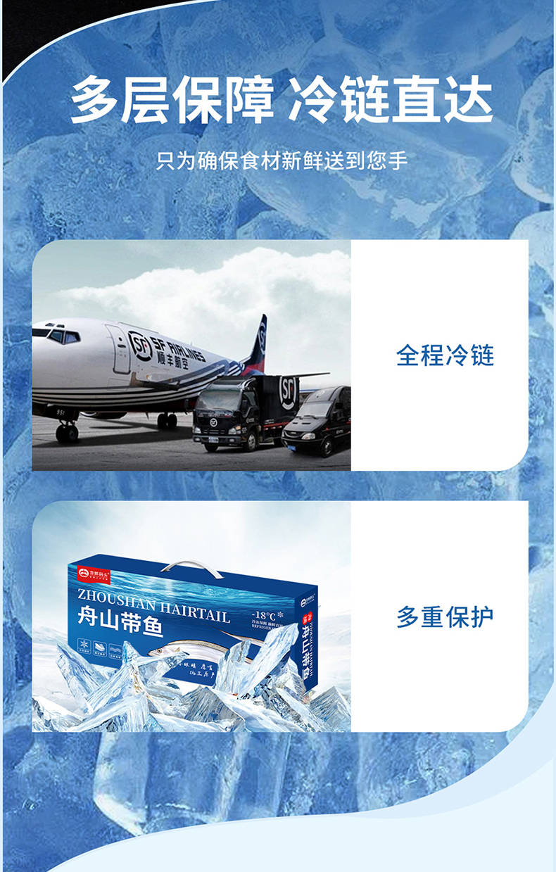 带鱼_11.jpg
