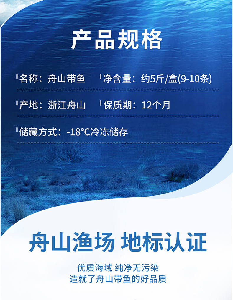 带鱼_03.jpg