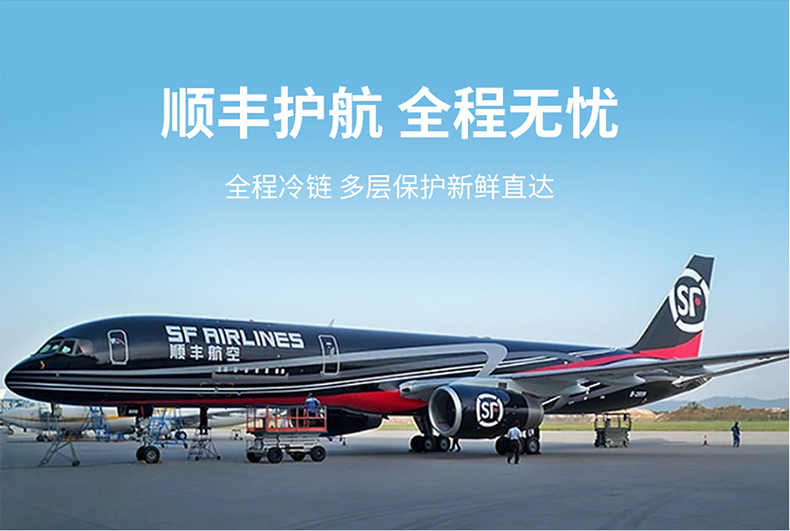 参之心_10.jpg