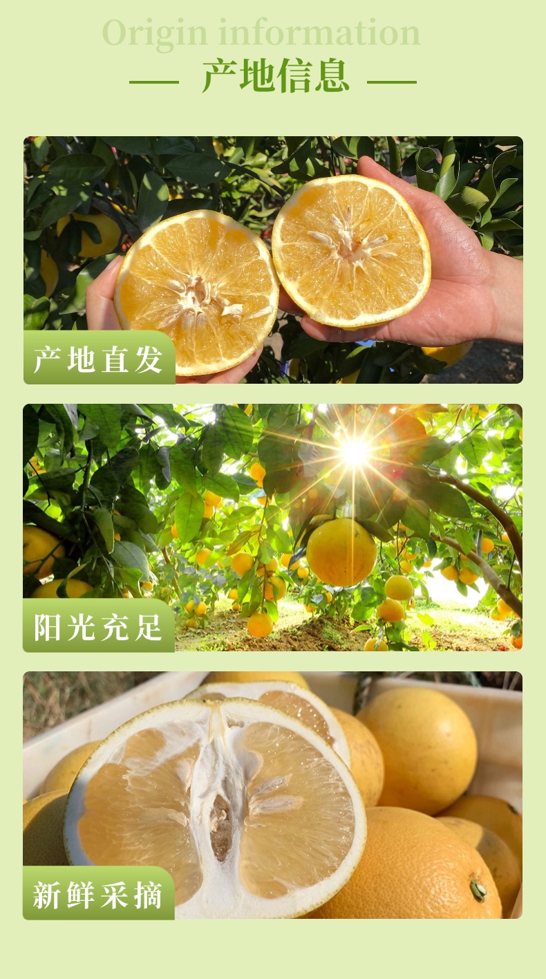画板 3.jpg