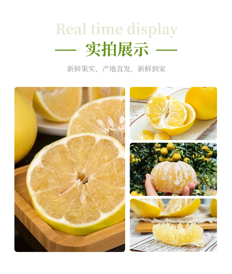 画板 6.jpg
