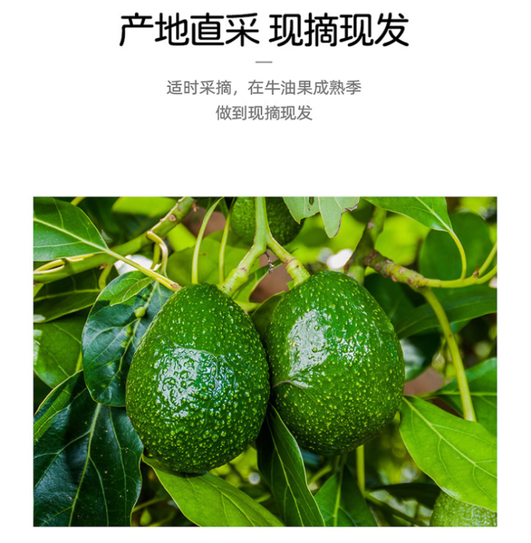 微信图片_20251014214951.jpg