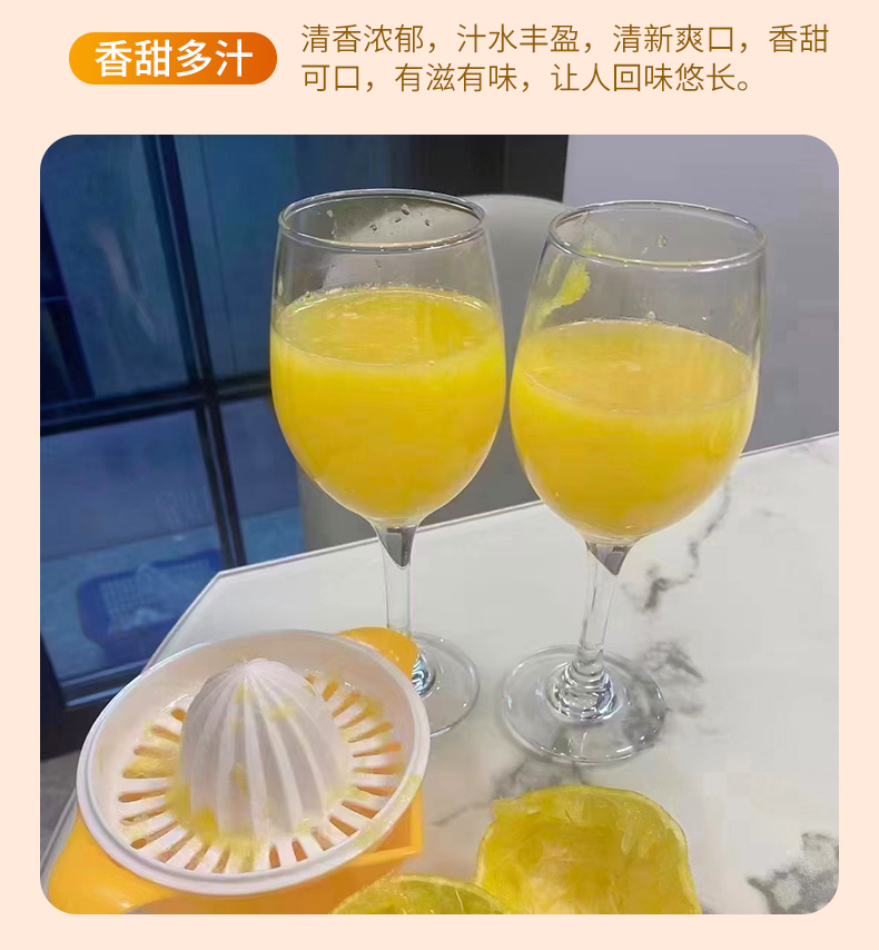 葡萄柚_03.jpg