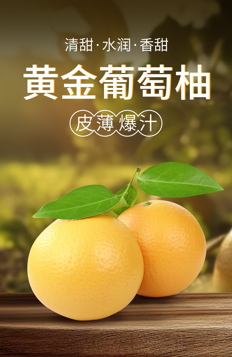 葡萄柚_01.jpg