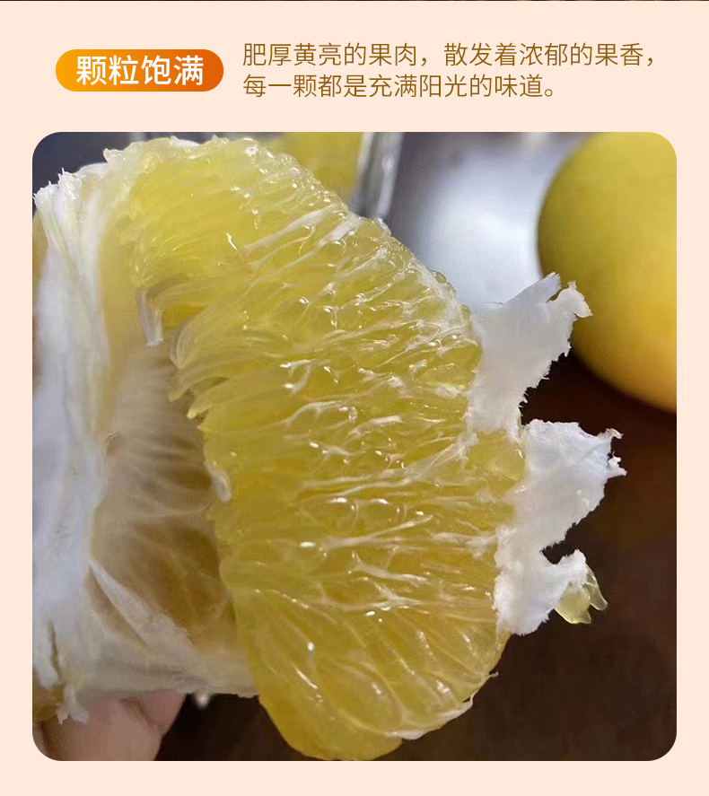 葡萄柚_02.jpg