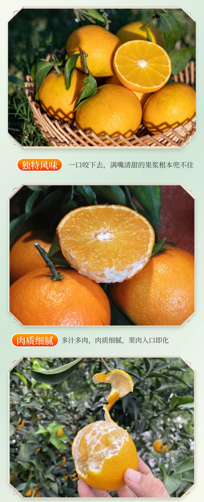 1 (5)_看图王.jpg