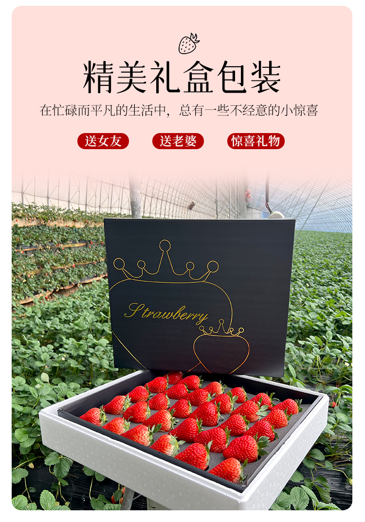 草莓详情790_10.jpg