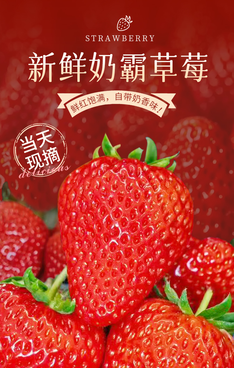 草莓详情790_01.jpg
