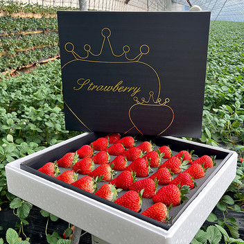 丹东奶霸草莓2斤礼盒单果35g绿色食品