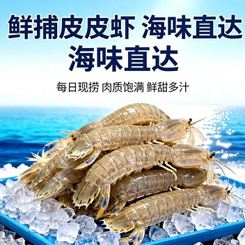 渤海湾原产地直捕鲜活皮皮虾1kg
