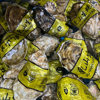 渤海湾原产地直捕鲜活生蚝1kg4只左右