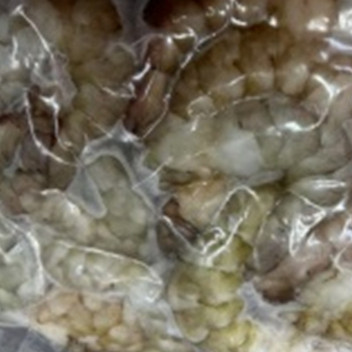 渤海湾原产地直捕液氮冷冻虾仁250g