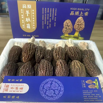 云南高原羊肚菌500克彩箱5公分以上