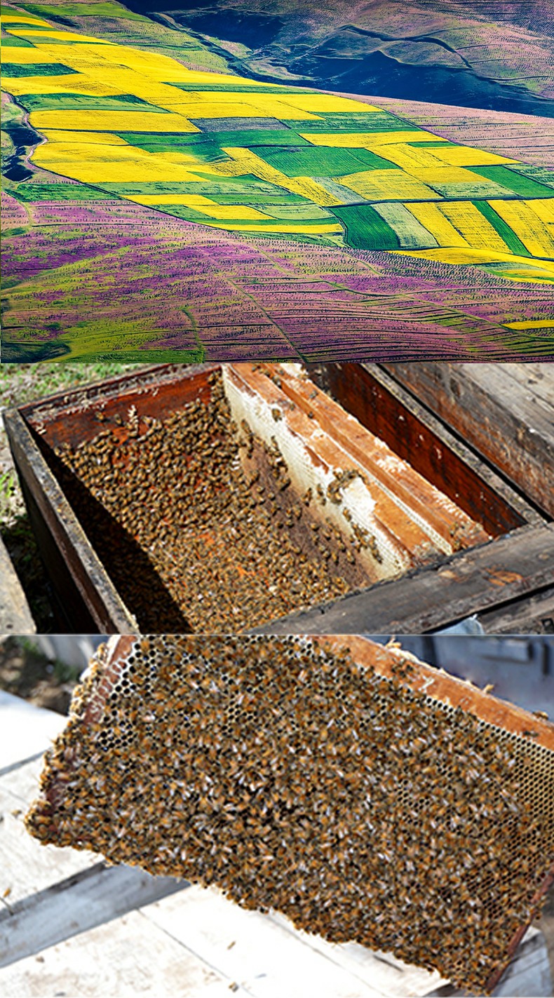 662507090006-【青海门源】百里花海+蜂巢蜜500g-详情图5~1.jpg