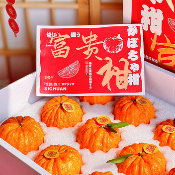 四川南瓜富贵柑4斤礼盒8-12枚