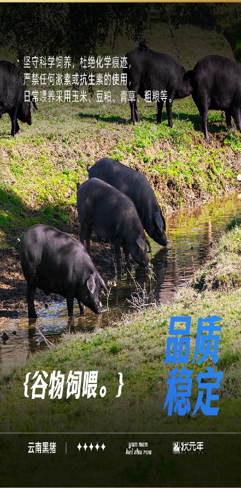 2025云南黑猪肉详情页(已审核通过)_05.jpg