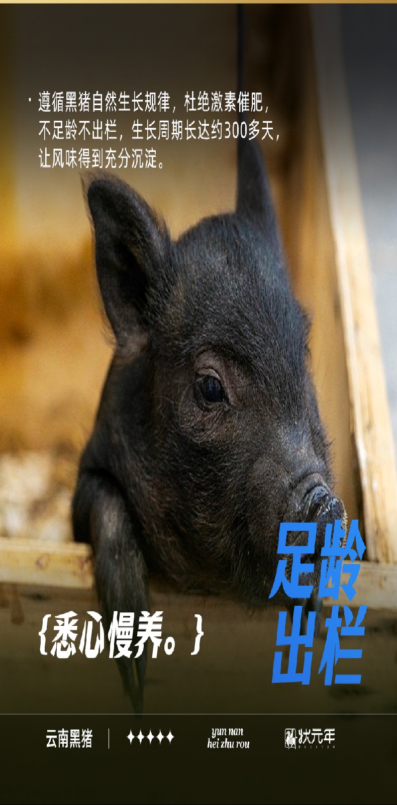2025云南黑猪肉详情页(已审核通过)_06.jpg