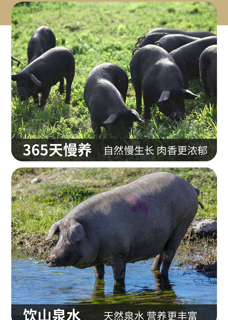 黑猪肉详情698_08.jpg