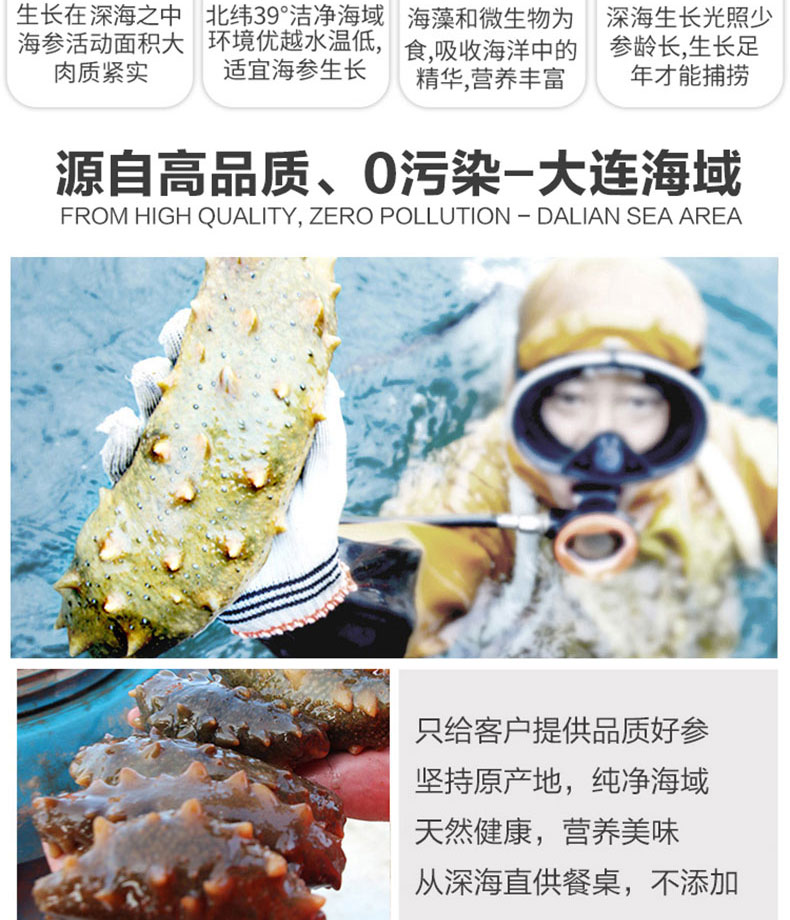 淡干海参150_06.jpg