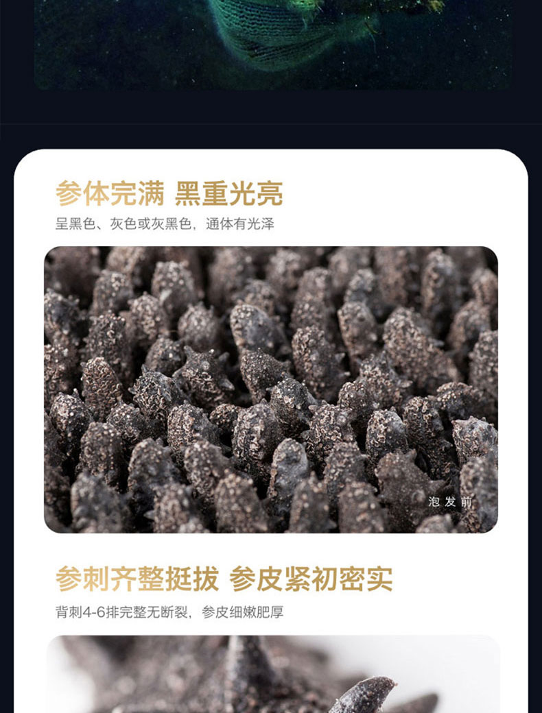 淡干海参A1250g_05.jpg