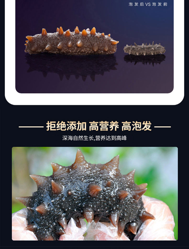 淡干海参A1250g_07.jpg