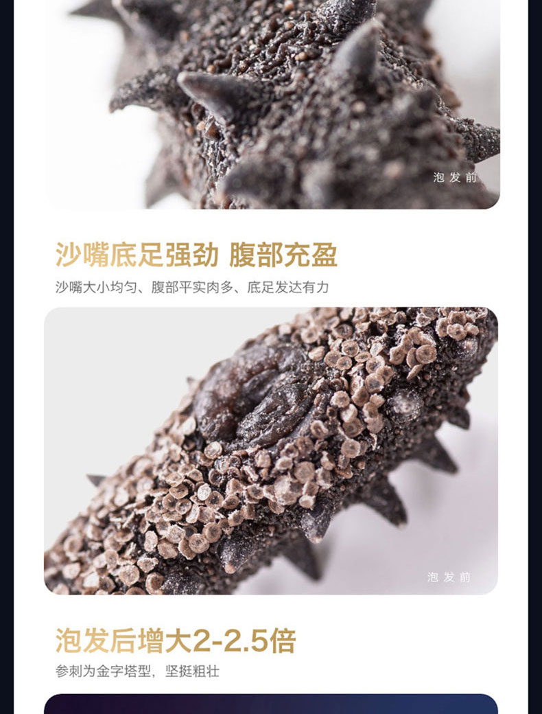 淡干海参A1250g_06.jpg