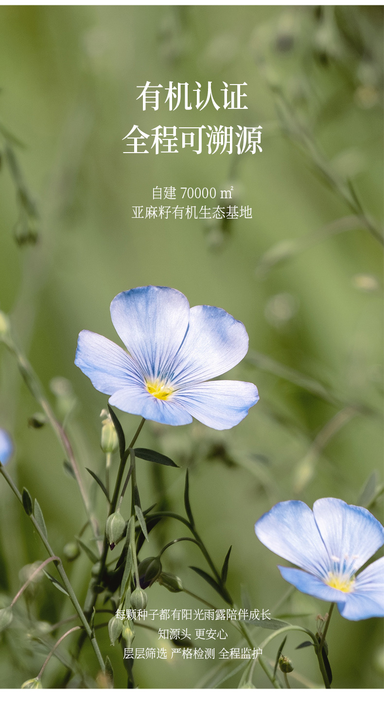 小袋亚麻5mlx21详情页-含量-3_04.jpg