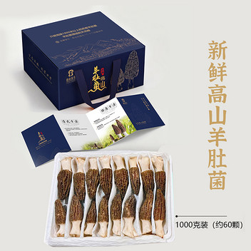 德商臻茸新鲜高山羊肚菌1公斤礼盒（6-8公分）
