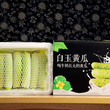 山东烟台牛奶白玉黄瓜净重4斤16根左右