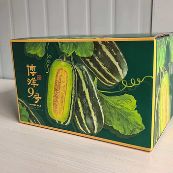 山东博洋9号甜瓜4.5斤彩箱约4-7个