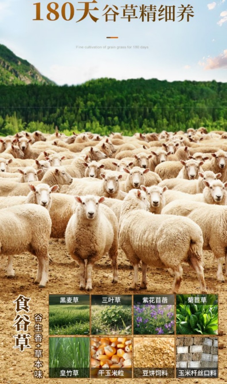 法式小切详情页3.jpg