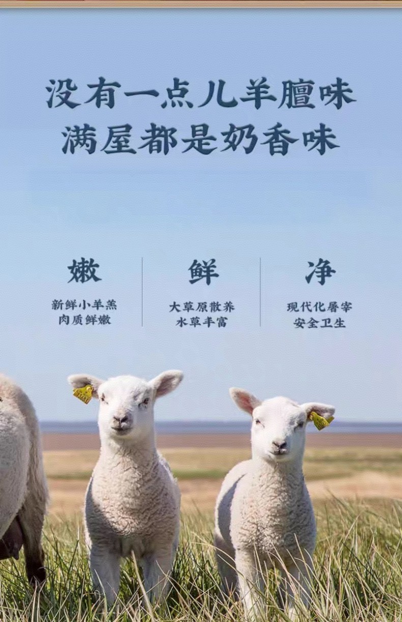 详情页8 (2).jpg