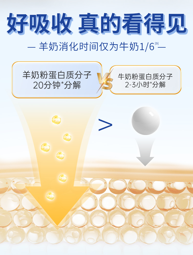 免疫球蛋白300g详情_08.jpg