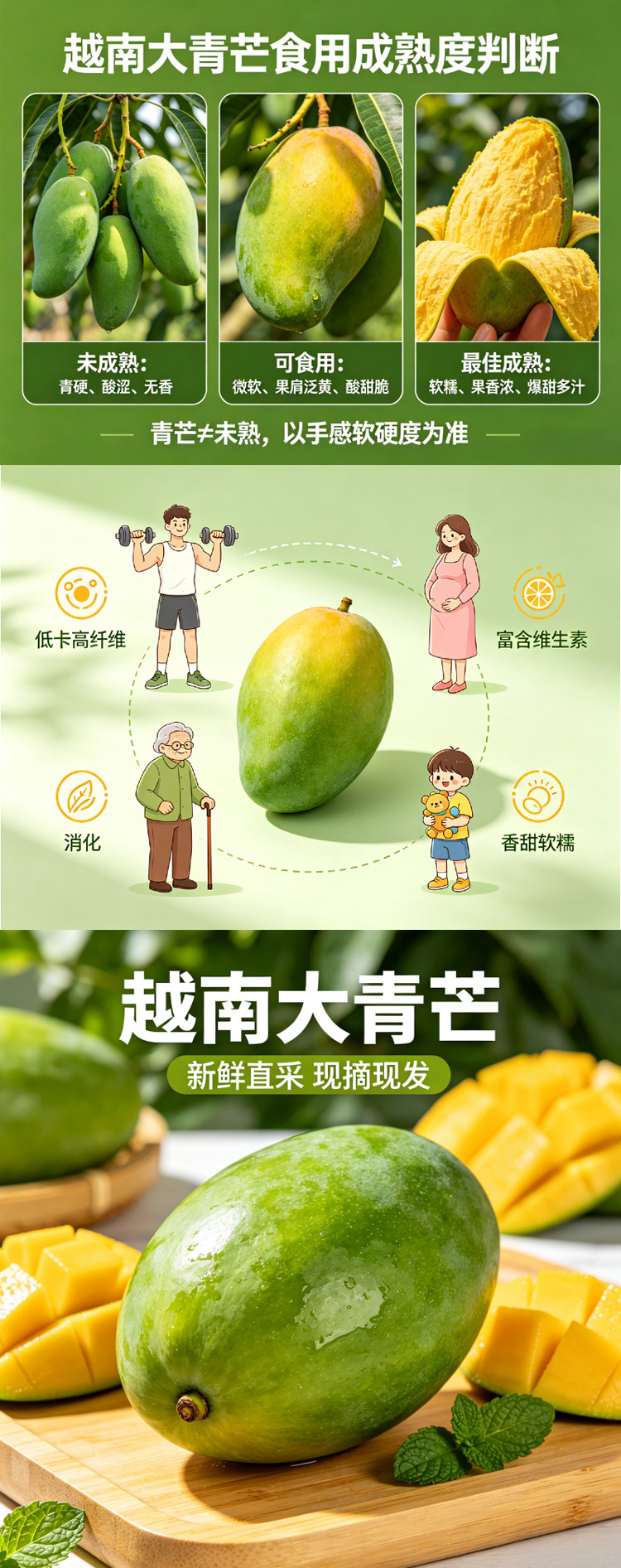 越南青芒长图03.jpg