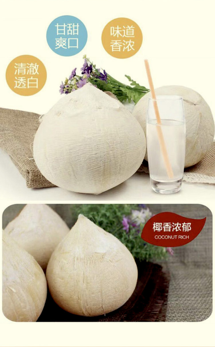 越南奶香椰长图02.jpg